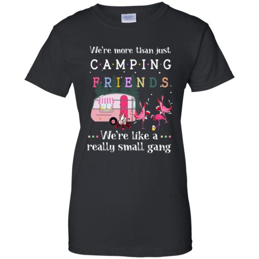 We're More Than Just Camping Friends Flamingo We're Like A Really Small Gang 9