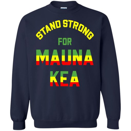 Mauna Kea Stand Strong Ku Kiai Mauna Aloha Protest 8
