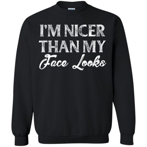 I'm Nicer Than My Face Looks Sarcastic Humor 7