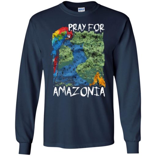 Pray For Amazonia 4