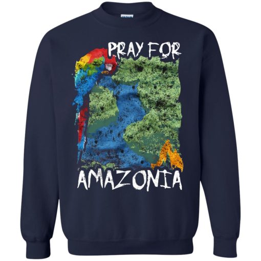 Pray For Amazonia 8