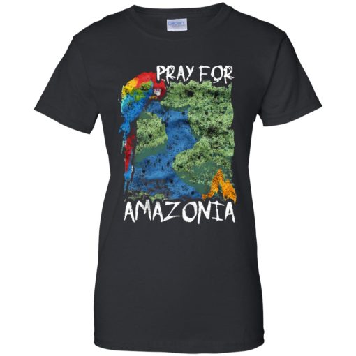 Pray For Amazonia 9