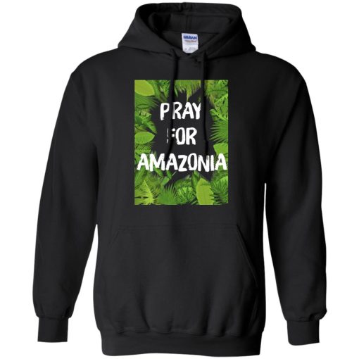 Pray For Amazonia Rainforest Save The Amazon Forest 5
