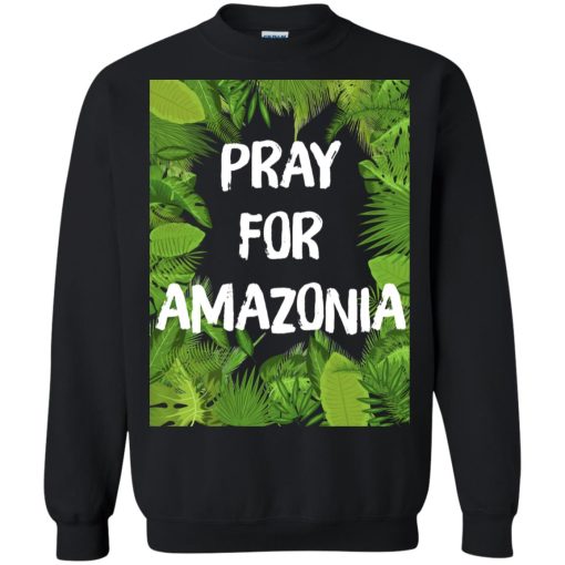 Pray For Amazonia Rainforest Save The Amazon Forest 7