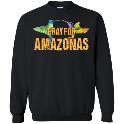 Pray For Amazonas 7