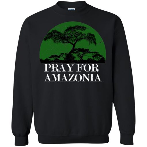 Pray For Amazonia 7