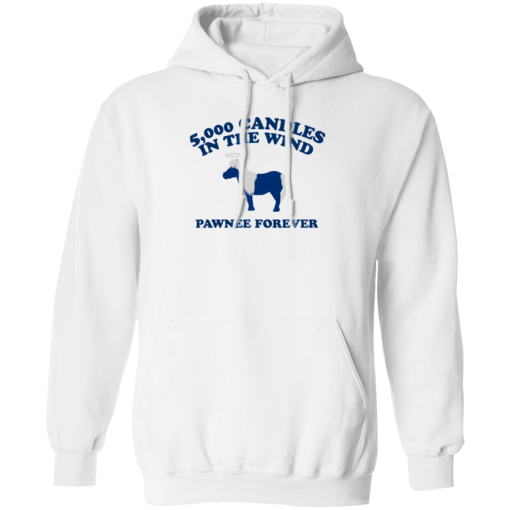 5000 Candles In The Wind Pawnee Forever Hoodie