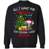 All i want for Christmas is you just kidding i want elephants sweater Shirt