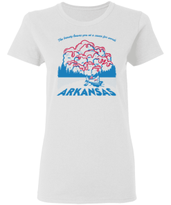 Arkansas Sonic Shirt 4.png