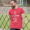 Calmer Than You Are Shirt.png