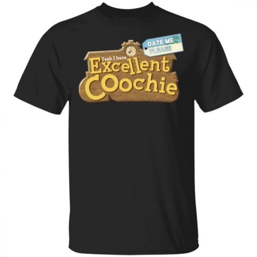 Date Me Please I Have Excellent Coochie.jpg