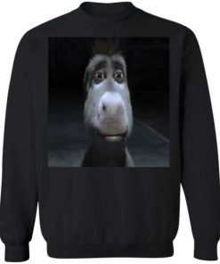 Donkey From Shrek Shirt 2.jpg
