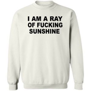 I Am A Ray Of Fucking Sunshine 3