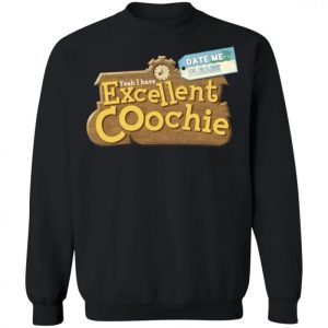 Date Me Please I Have Excellent Coochie 4