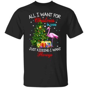 All i want for Christmas is you just kidding i want flamingo sweater 3
