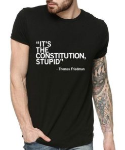 Its The Constitution Stupid Thomas Friedman 2.jpg